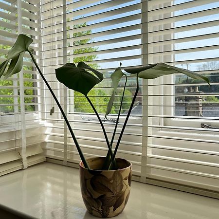 Top Floor Double En-Suite Br Apartment Central Matlock Matlock  Exteriör bild